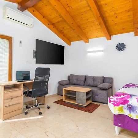 Pet Friendly In *