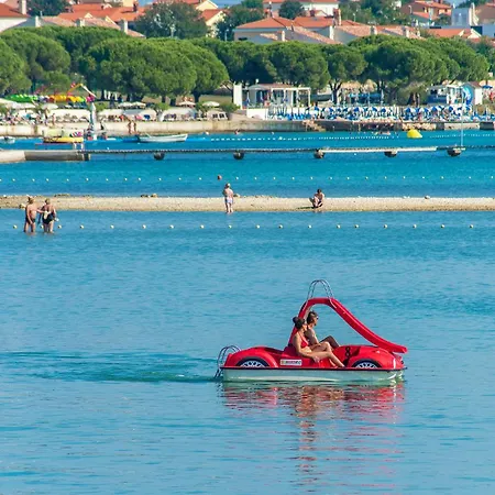Ferienhaus Pet Friendly In